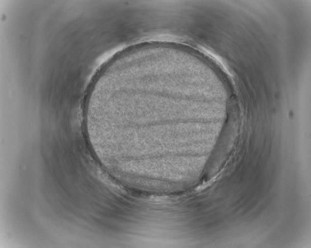 X0000085261264200704092105