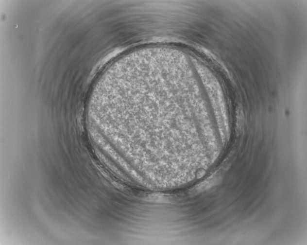 X0000085261265200704092105