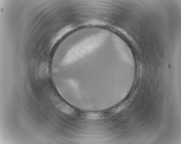 X0000085261266200704092105