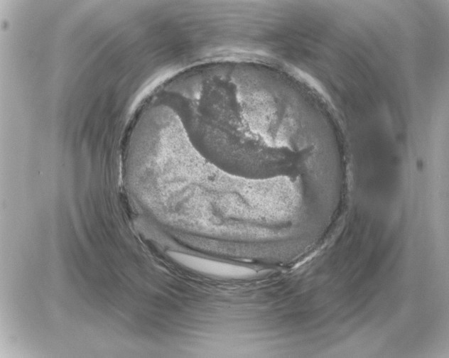 X0000085261267200704092105