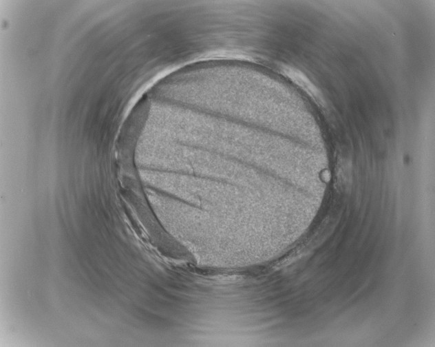 X0000085261268200704092105