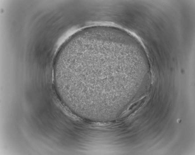 X0000085261271200704092105