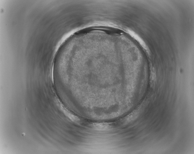 X0000085261272200704092105