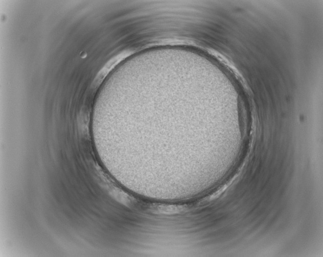 X0000085261273200704092105