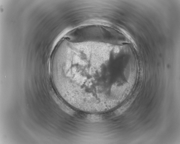 X0000085261275200704092105