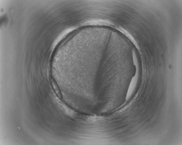 X0000085261277200704092105