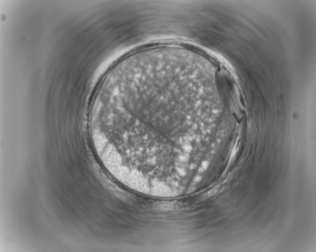 X0000085261279200704092105