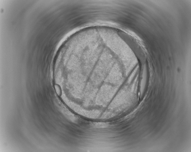 X0000085261280200704092105