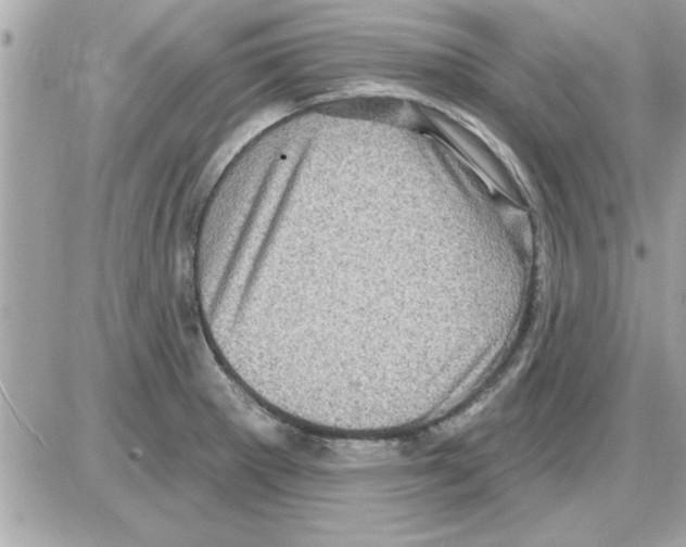 X0000085261281200704092105