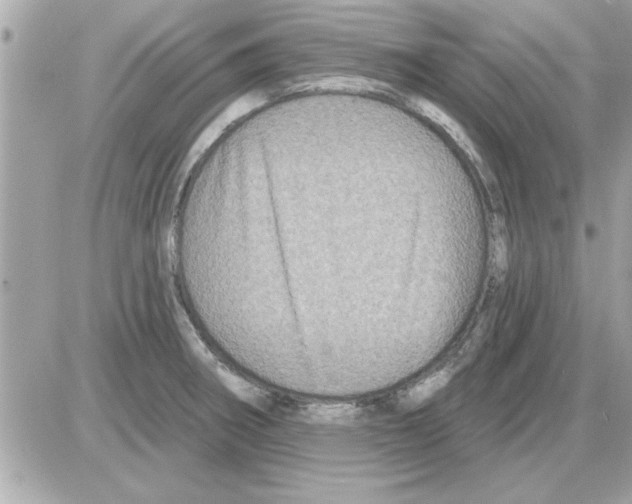 X0000085261282200704092105