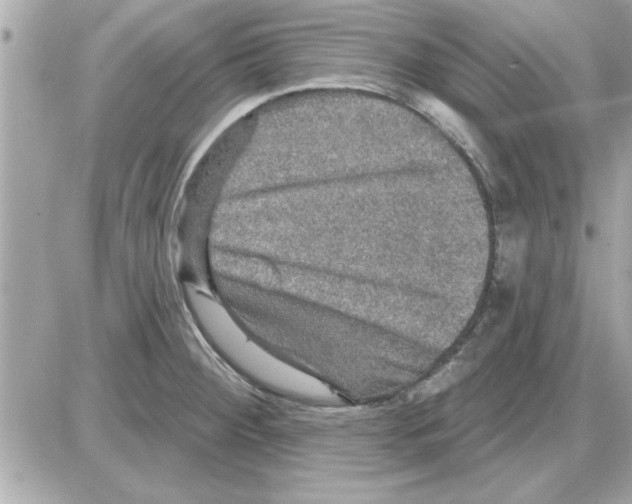 X0000085261284200704092105