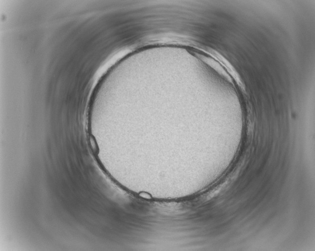 X0000085261285200704092105