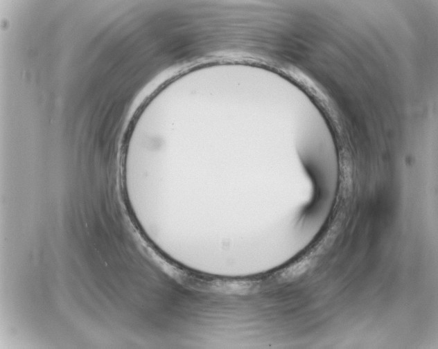 X0000085261286200704092105