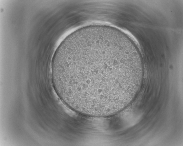 X0000085261287200704092105