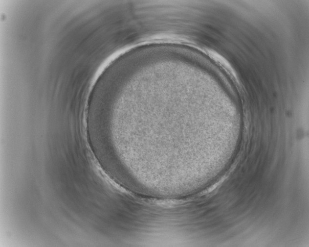 X0000085261288200704092105