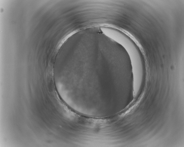 X0000085261289200704092105