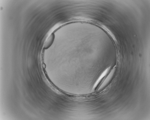 X0000085261291200704092105