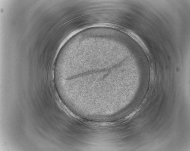 X0000085261292200704092105