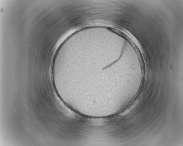 X0000085261293200704092105