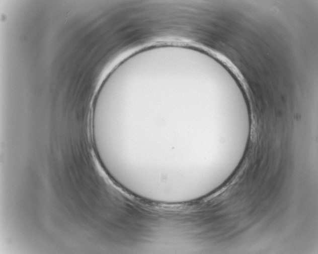 X0000085261295200704092105