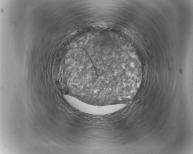 X0000085261297200704092104