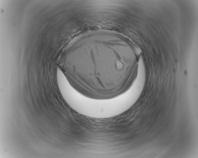 X0000085261298200704092104