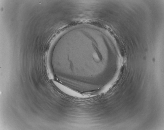 X0000085261300200704092104