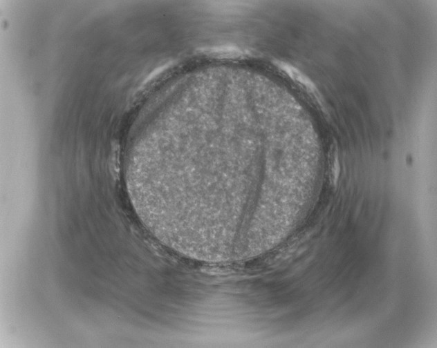 X0000085261301200704092104