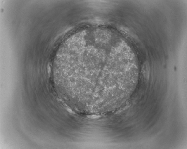 X0000085261302200704092104