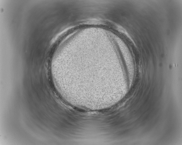 X0000085261304200704092104