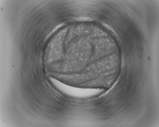 X0000085261305200704092104