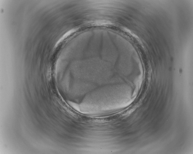 X0000085261306200704092104