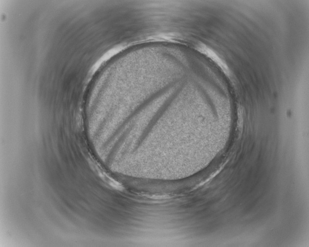 X0000085261308200704092104