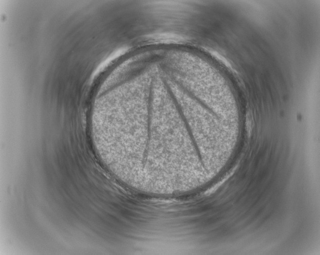 X0000085261309200704092104