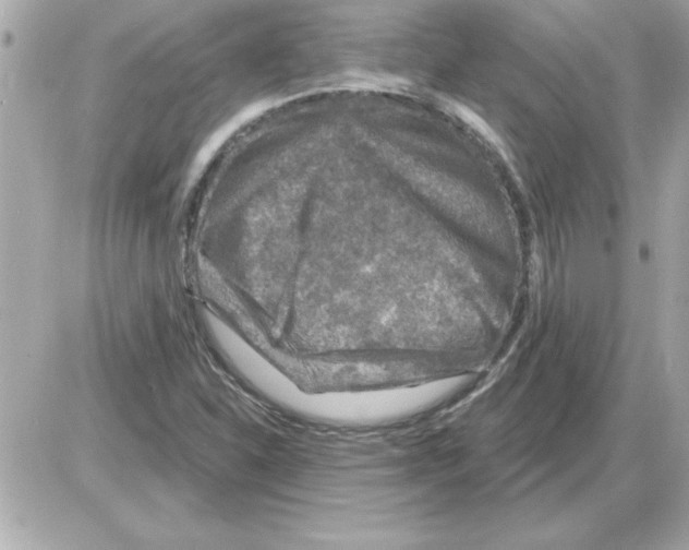 X0000085261310200704092104