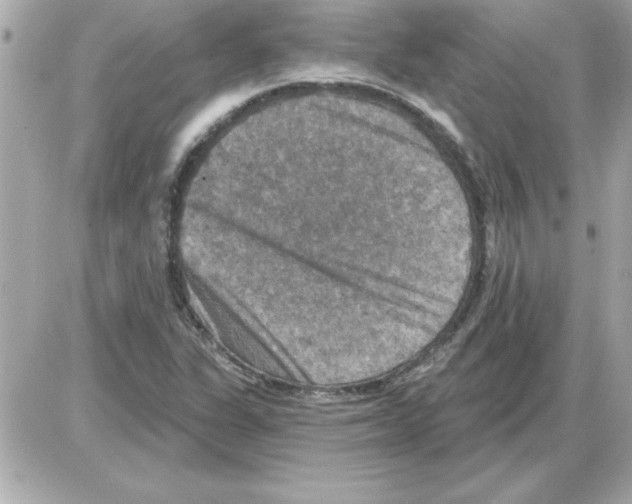 X0000085261311200704092104