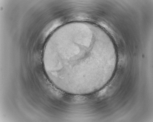 X0000085261314200704092104