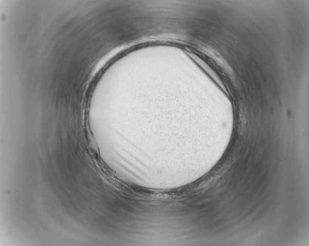 X0000085261316200704092104