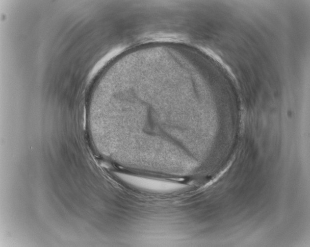 X0000085261317200704092104