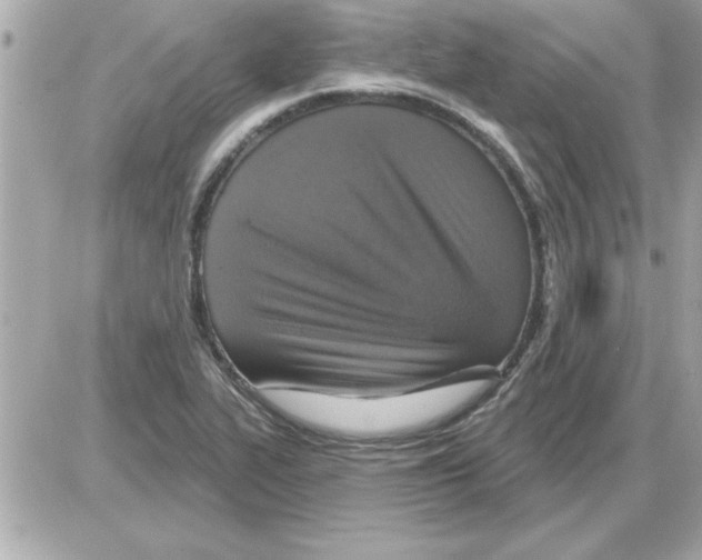 X0000085261319200704092104