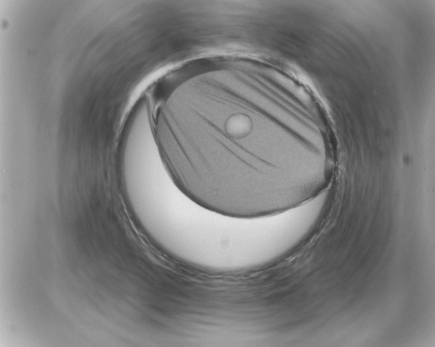 X0000085261320200704092104