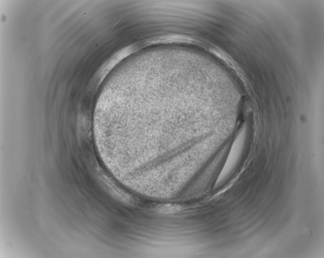 X0000085261321200704092104