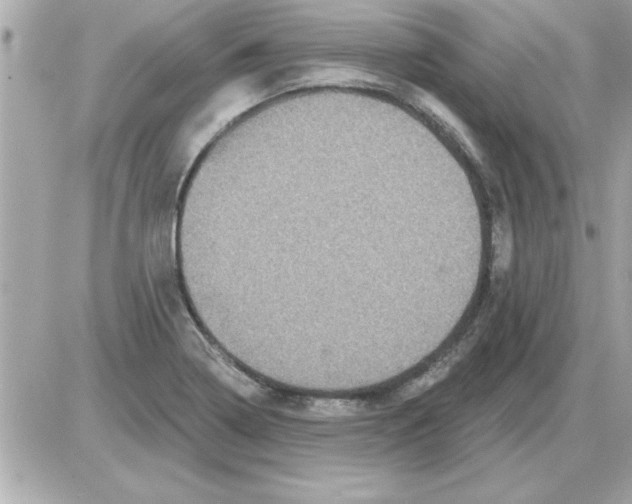 X0000085261322200704092104