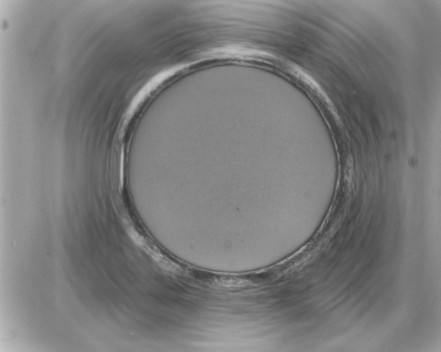 X0000085261323200704092104