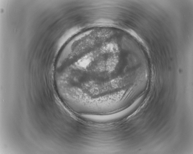 X0000085261325200704092104