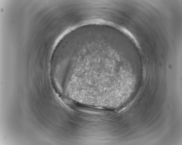 X0000085261326200704092104