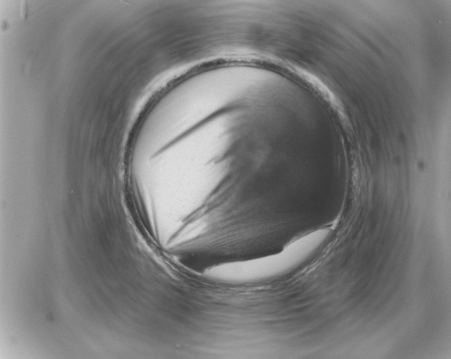 X0000085261327200704092104