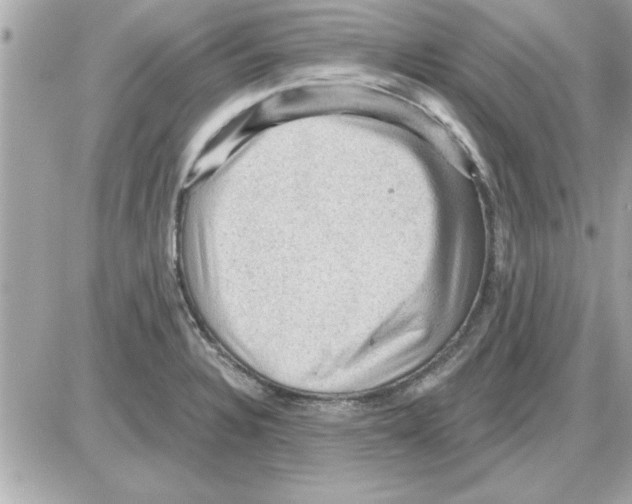 X0000085261328200704092104