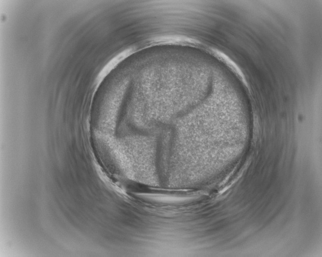 X0000085261330200704092104