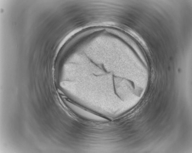 X0000085261332200704092104